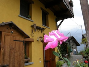 Un bâtiment jaune avec une porte et des fenêtres en bois, une fleur rose devant, et une vue sur une montagne en arrière-plan.