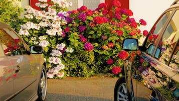 Gratis parkeerplaatsen