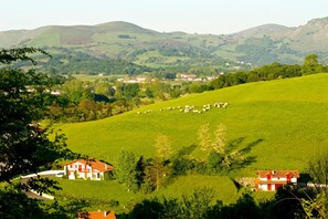 Esterni