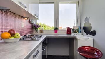 Apartment | Eigene Küche | Kühlschrank, Ofen, Herdplatte, Wasserkocher