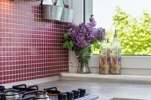 公寓 | 私人厨房 | 冰箱、烤箱、炉灶、电热水壶