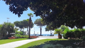 Un sendero que lleva a una playa con palmeras y una planta grande en maceta.