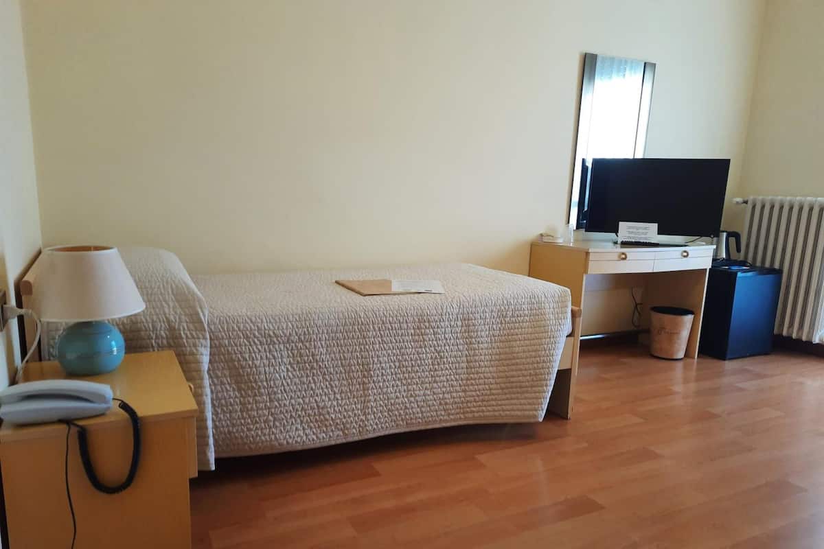 A hotel room with a bed, a desk, a chair, a television, and a radiator.