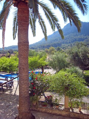 Jardines del alojamiento