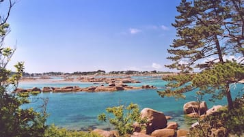 Una playa cerca