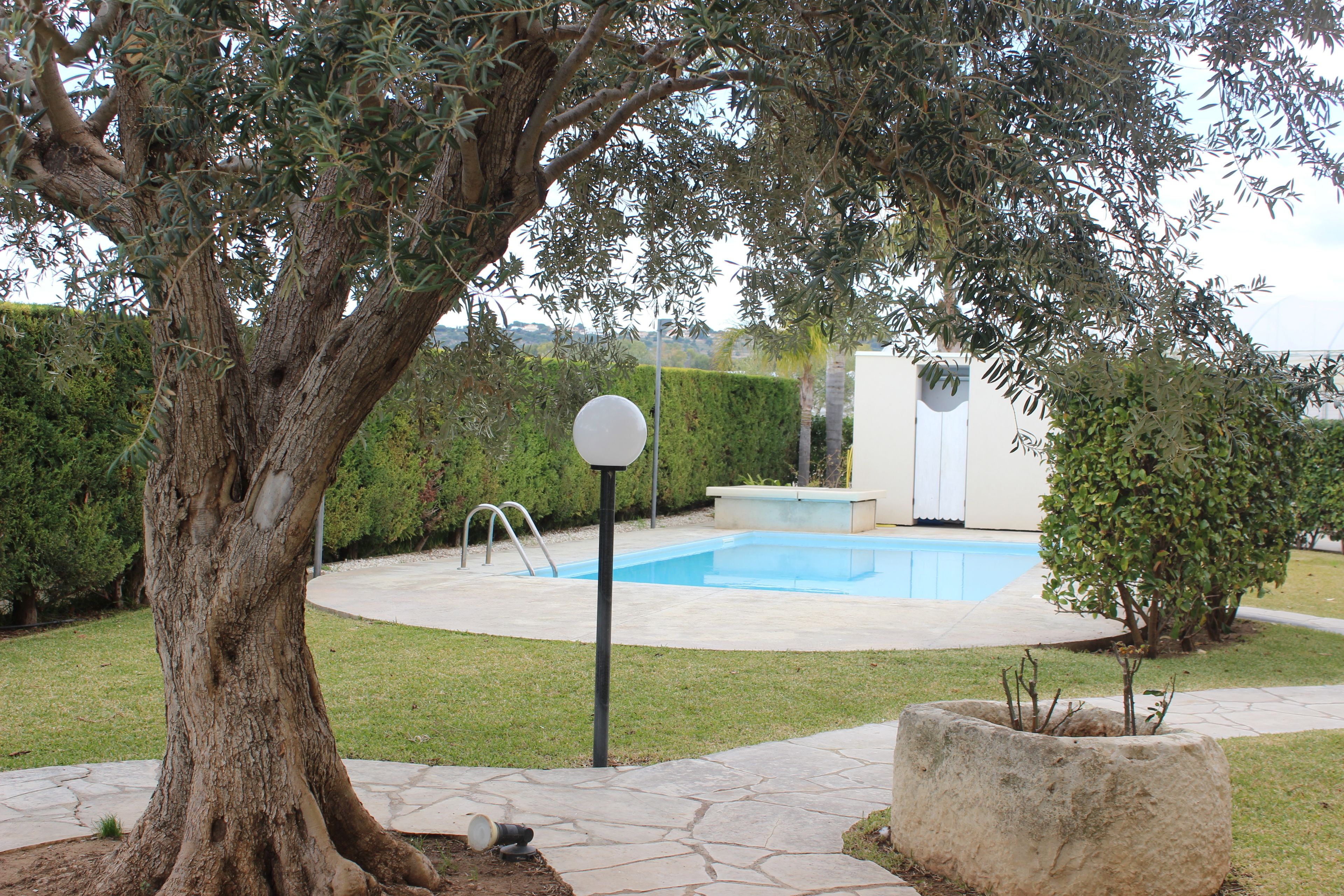 A backyard with a swimming pool, a large tree, and a stone planter.