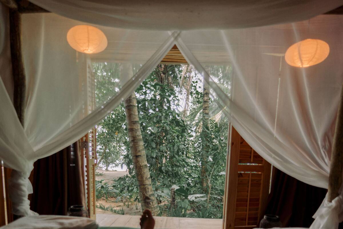 Panoramic Room, 1 King Bed, Beach View | View from room