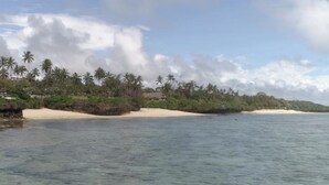 A beach with clear water, sandy shores, and palm trees.