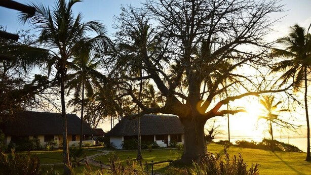 A thatched-roof building surrounded by palm trees and a well-maintained lawn.