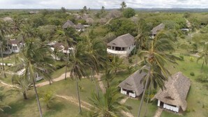 A tropical village with thatched-roof houses surrounded by palm trees.