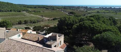 Vista aérea