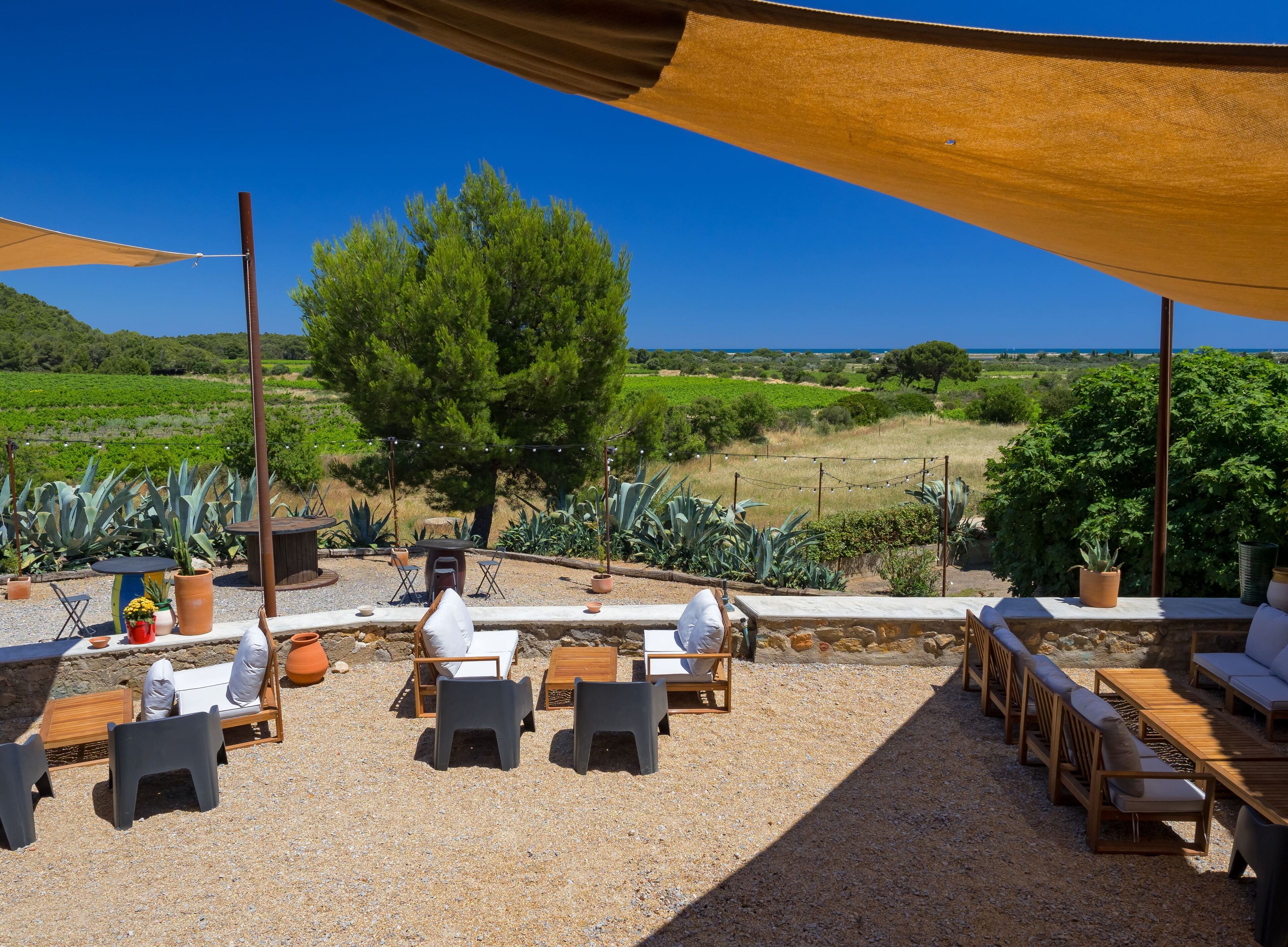 Un espace extérieur aménagé avec des sièges, offrant une vue sur un vignoble et des collines.