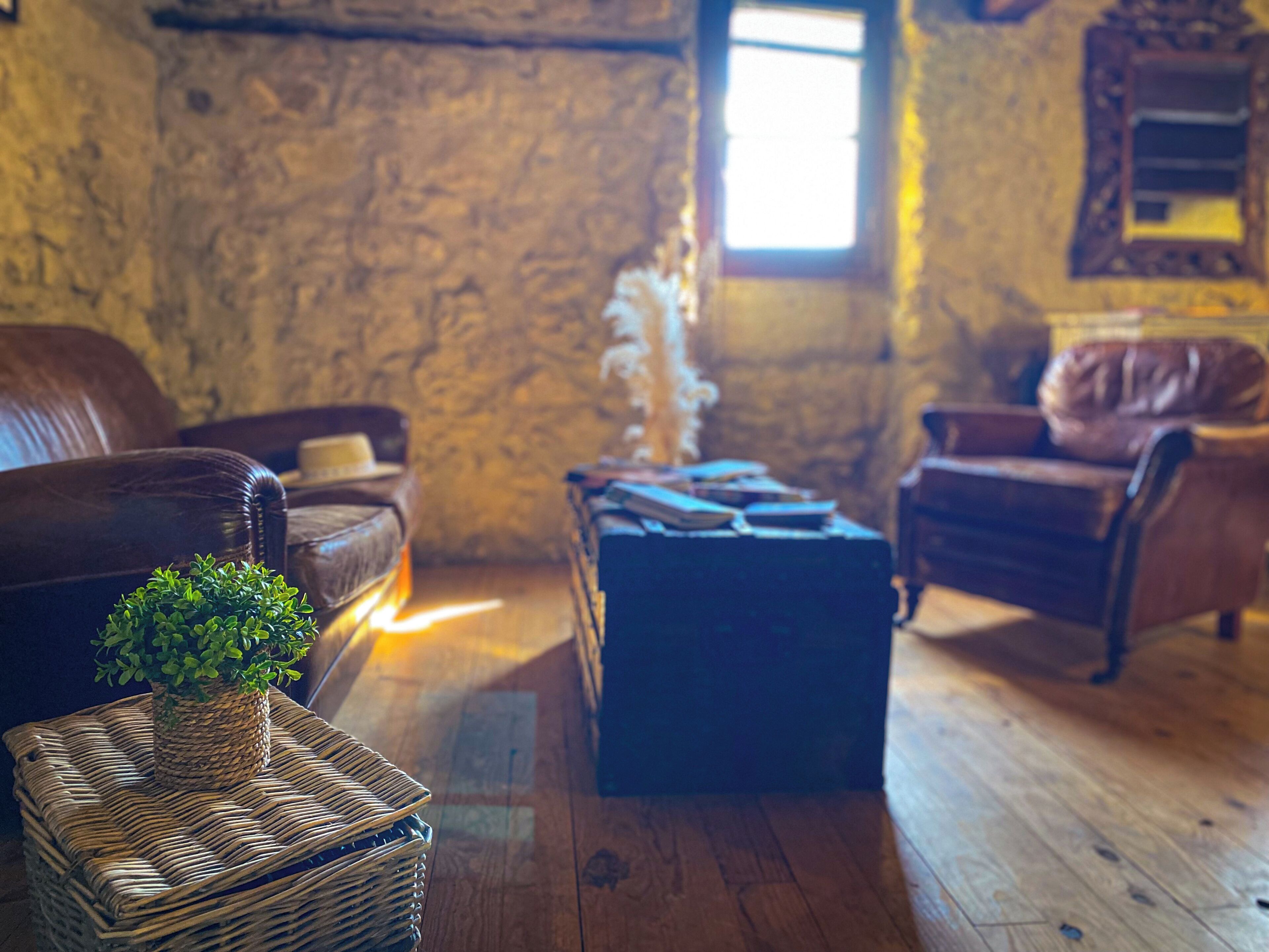A cozy living room with a stone wall, leather sofas, a wooden coffee table, and a small potted plant.