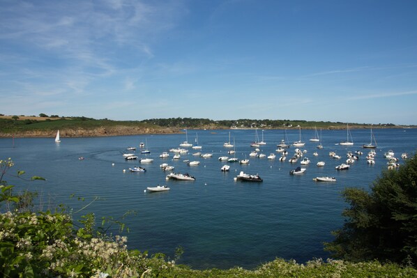 Un port de plaisance où de nombreux bateaux sont amarrés, entouré de verdure et sous un ciel dégagé.