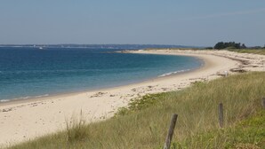 Une plage avec un rivage sablonneux, des dunes herbeuses et un ciel bleu dégagé.