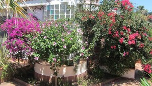 Una casa con jardín, flores rosadas y rojas, una antena parabólica y una ventana con marcos blancos.