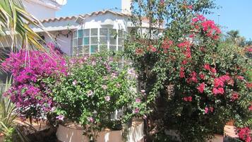 DĂ©tail de lâextĂ©rieur