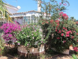 Una casa con jardín, flores rosadas y rojas, una antena parabólica y una ventana con marcos blancos.