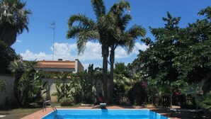 Una piscina rodeada de palmeras y follaje, bajo un cielo azul despejado.