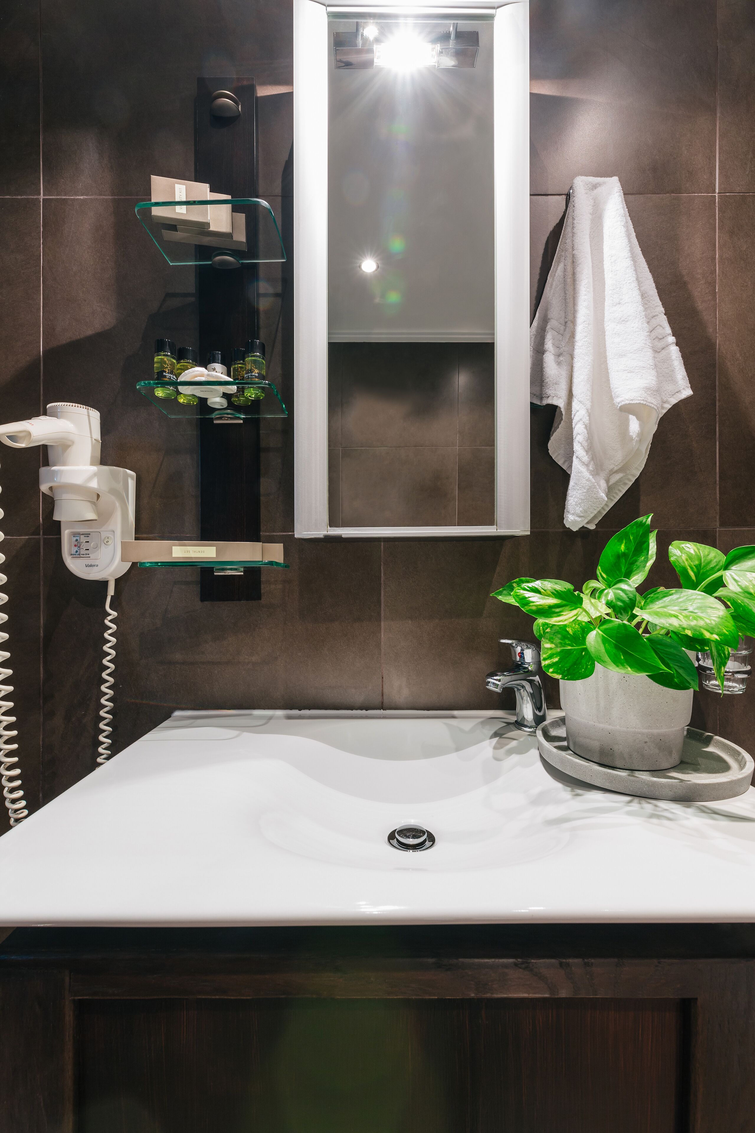 deluxe double room | bathroom | shower, free toiletries, hair dryer, bathrobes