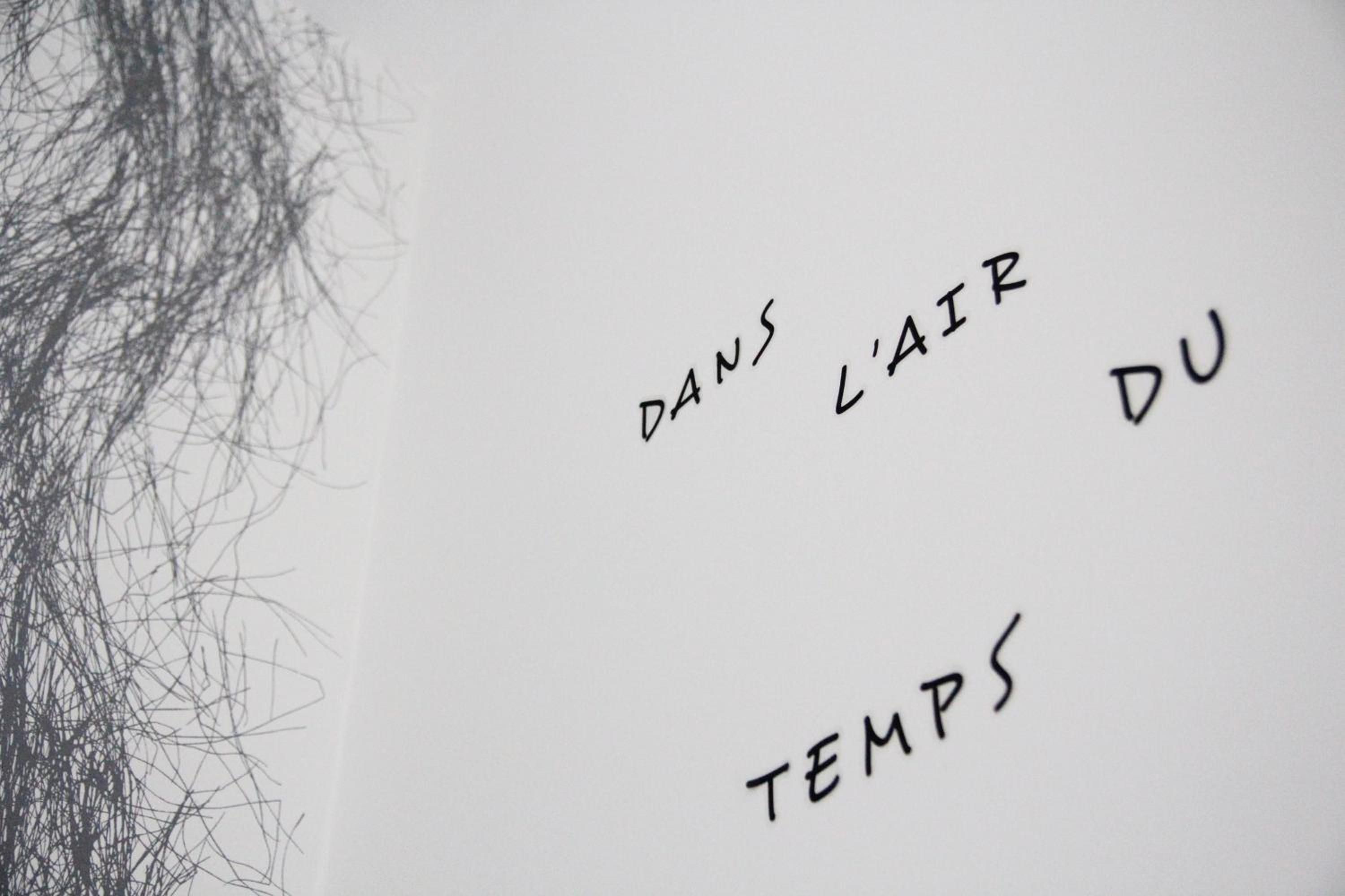 A wall with handwritten text in French, 'DANS L'AIR DU TEMPS,' and a blurred background suggesting a natural setting.