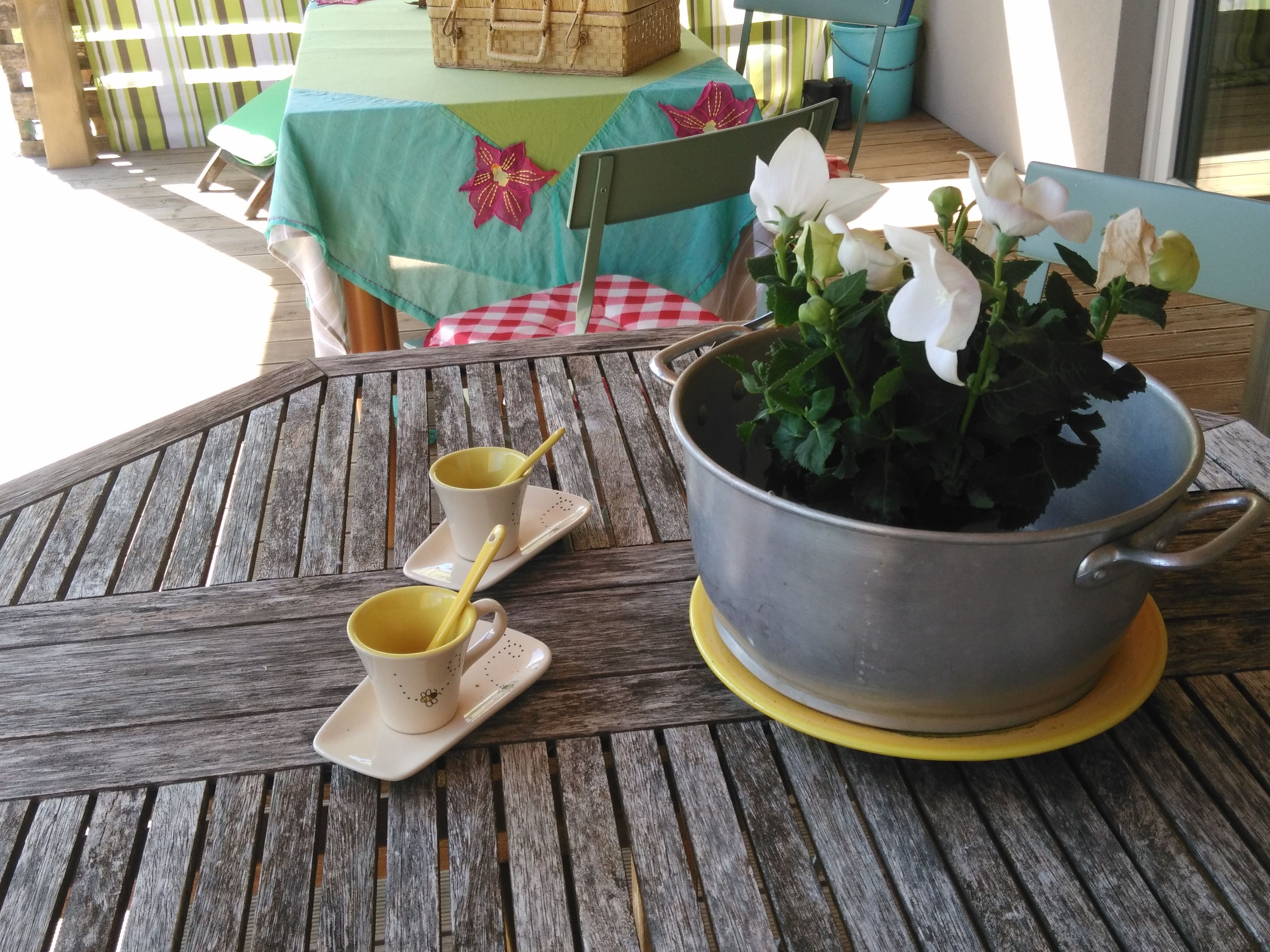 Una mesa de madera con una maceta de flores metálica, dos tazas amarillas con platillos, y un mantel a cuadros.