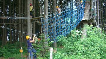 Uma área arborizada com uma ponte de corda azul e árvores.