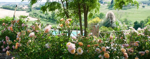 Exterior - Agriturismo Quarto Podere (Magliano in Toscana)