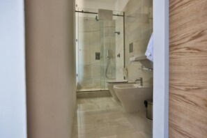 Shower, free toiletries, hair dryer, bidet