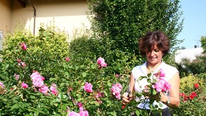 A person holding pink roses in a garden with dense foliage and a building in the background. - A Casa Di Maria (Grinzane Cavour)