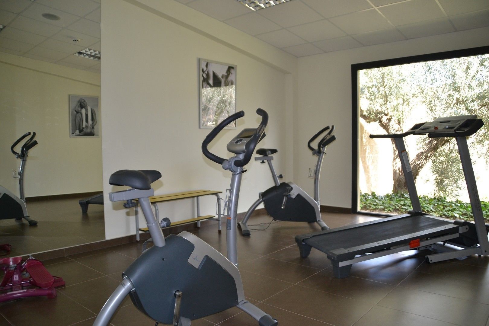A gym with stationary bikes, a treadmill, and a bench.