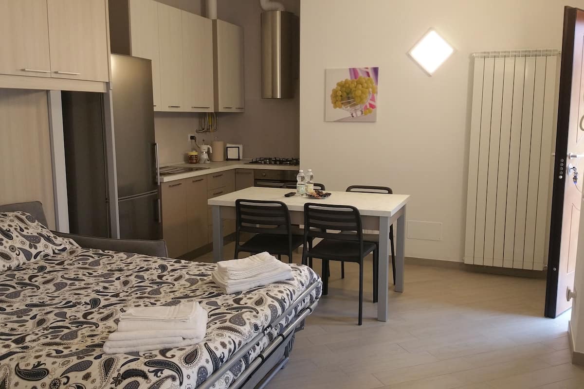 Studio | 1 slaapkamer, donzen dekbedden, een kluis op de kamer, een bureau