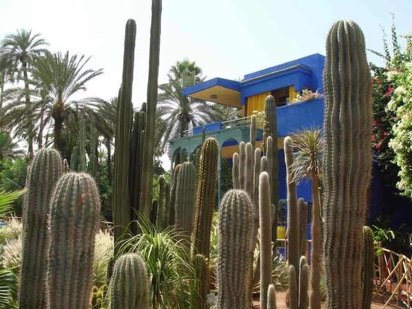 Property grounds - Appart avec vue Jardin-Majorelle (Marrakech)