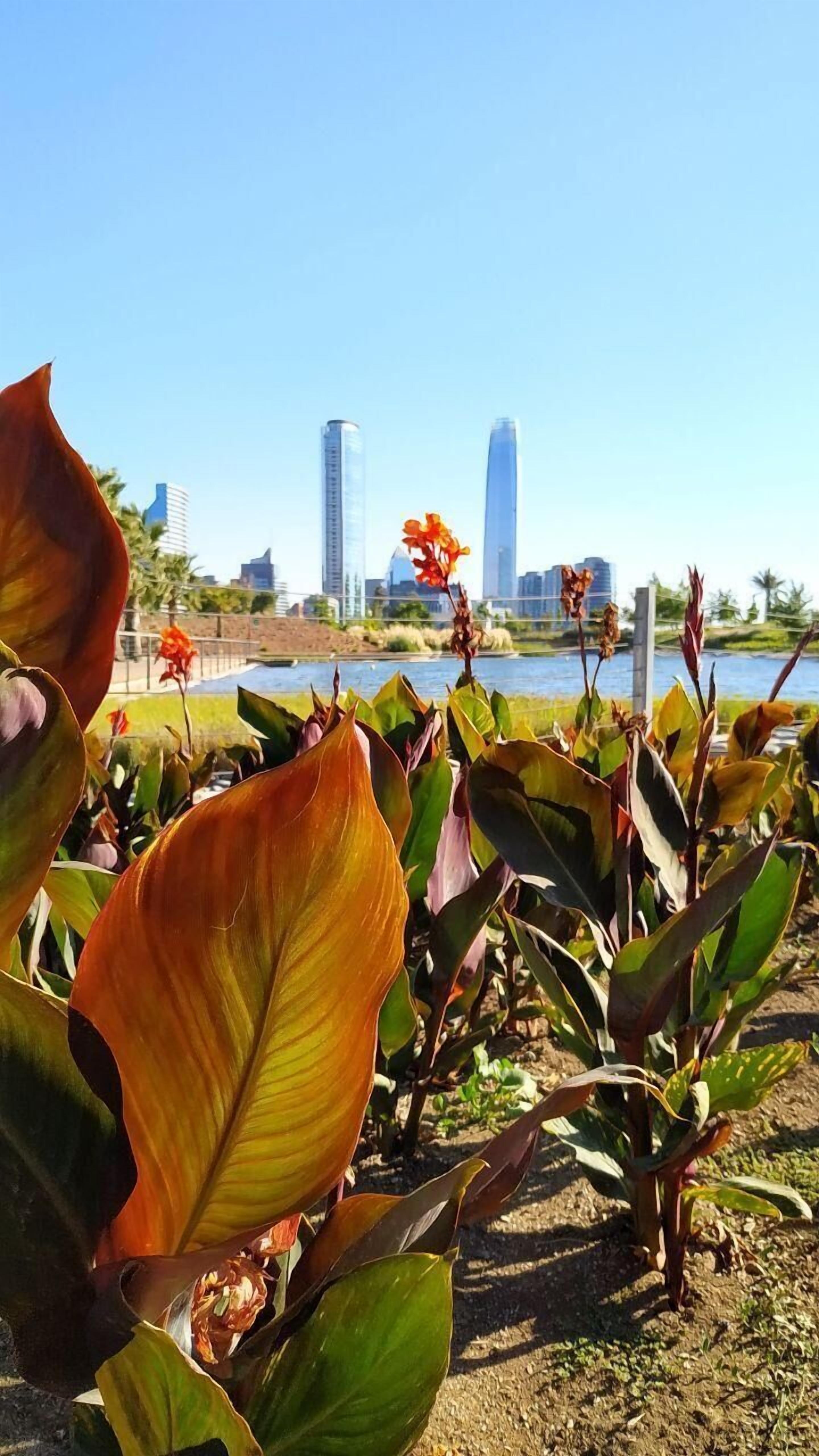 Foto - Hostel Boutique Merced 88