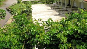 A resort with multiple buildings, a paved walkway, and lush greenery. - Resort Monte das Oliveiras (Joanópolis)