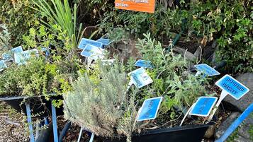 A wheelbarrow with labeled plant signs, surrounded by greenery.