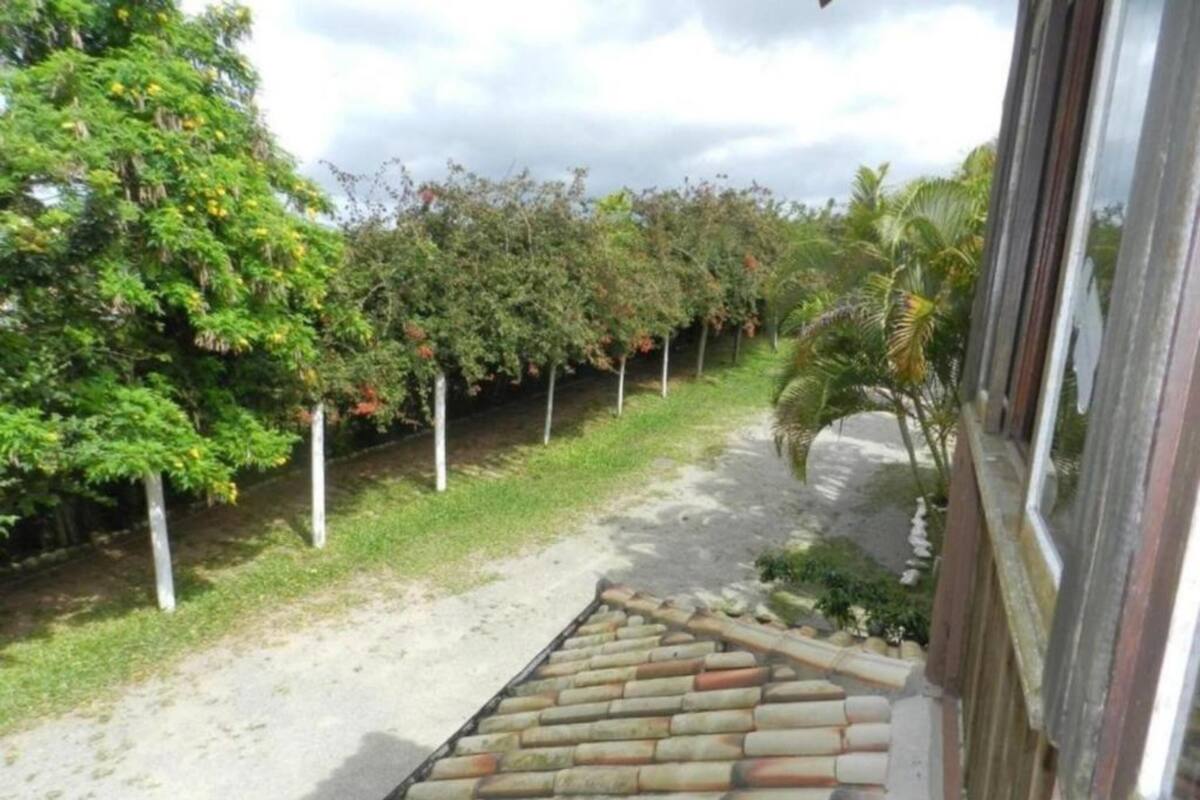 A pathway leading to a building with a tiled roof.