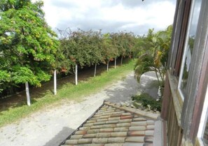 Basic Triple Room | Pemandangan taman