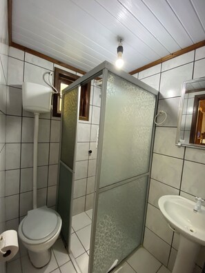 A bathroom with a toilet, a sink, a shower enclosure, and a ceiling light.