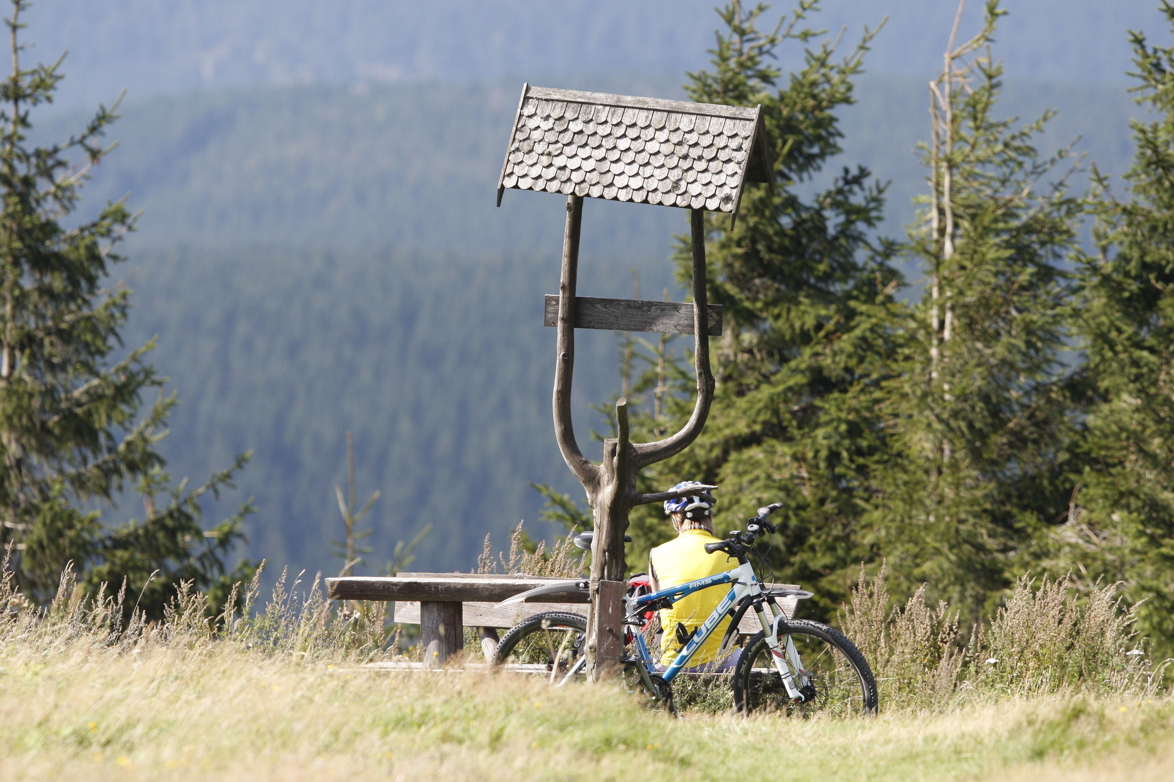 A wooden bench with a metal sign, a bicycle, and a cyclist in a natural setting with trees and mountains in the background.
