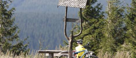 A wooden bench with a metal sign, a bicycle, and a cyclist in a natural setting with trees and mountains in the background.