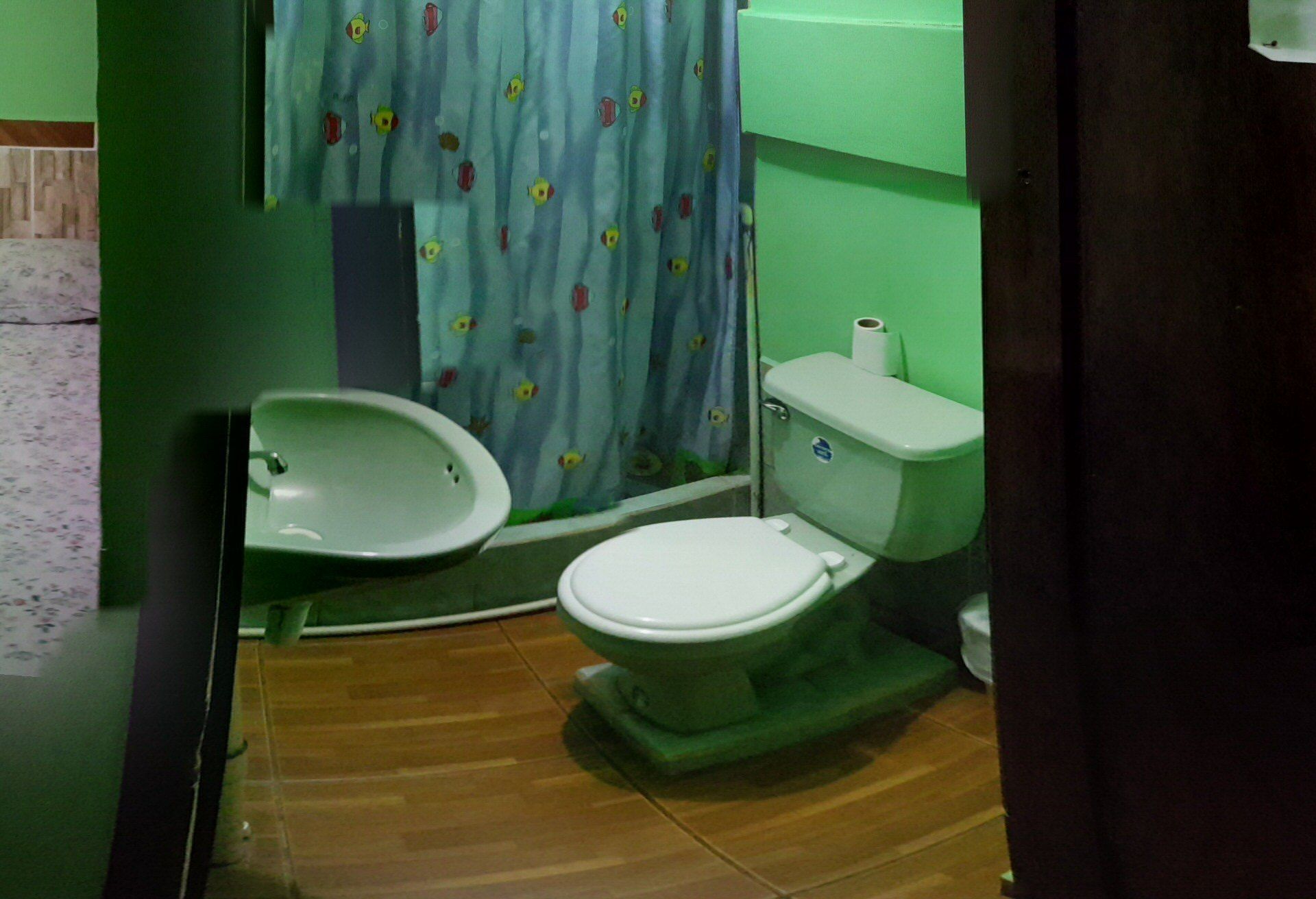 habitacion doble basica. 1 cama doble con ventilador | bathroom | shower, towels