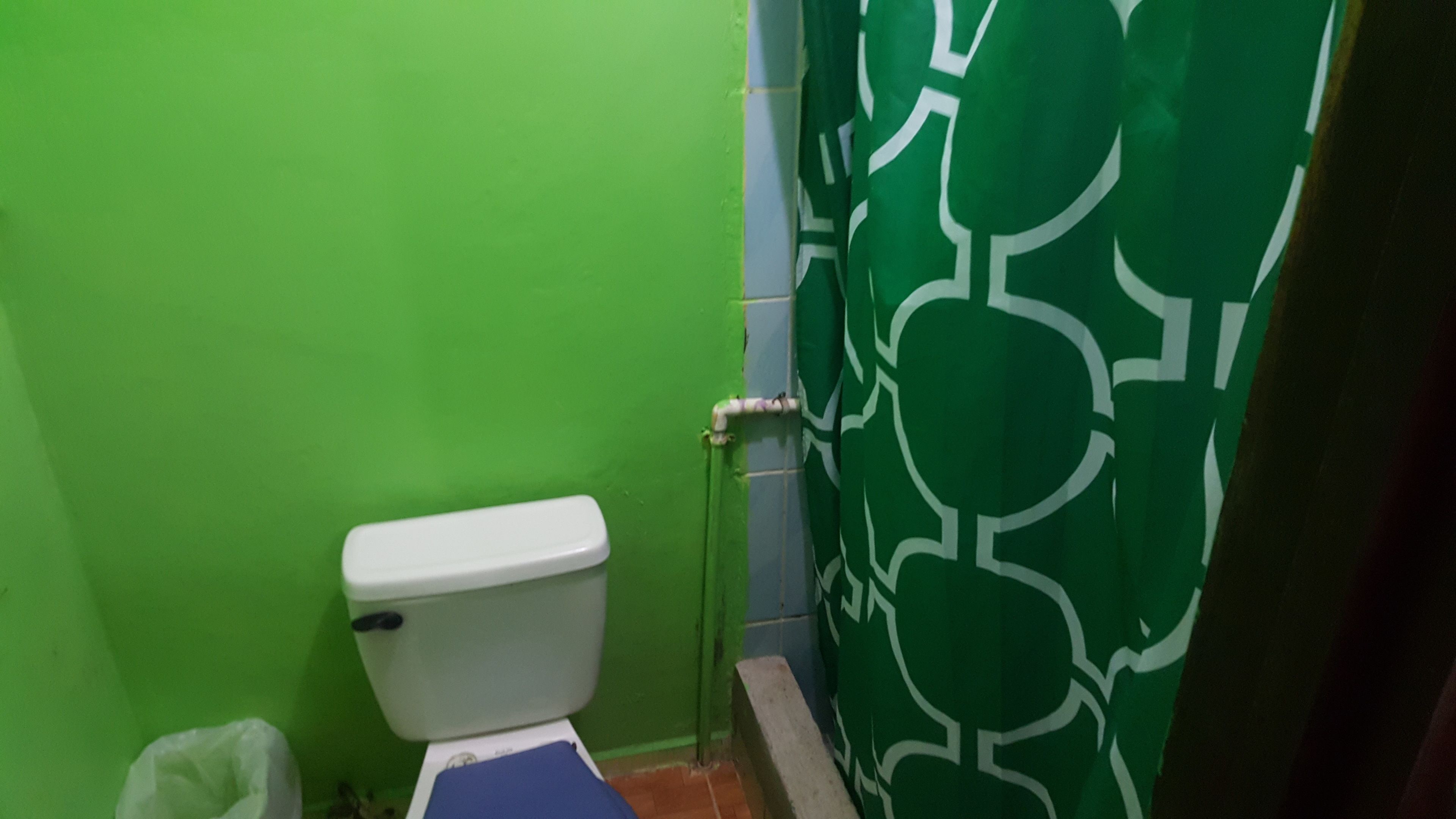 double or twin room, 1 double bed, private bathroom | bathroom | shower, towels