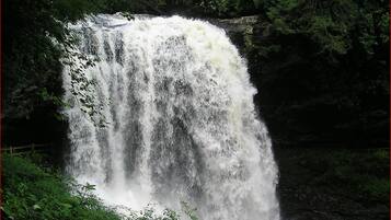 Een waterval omringd door weelderige begroeiing.