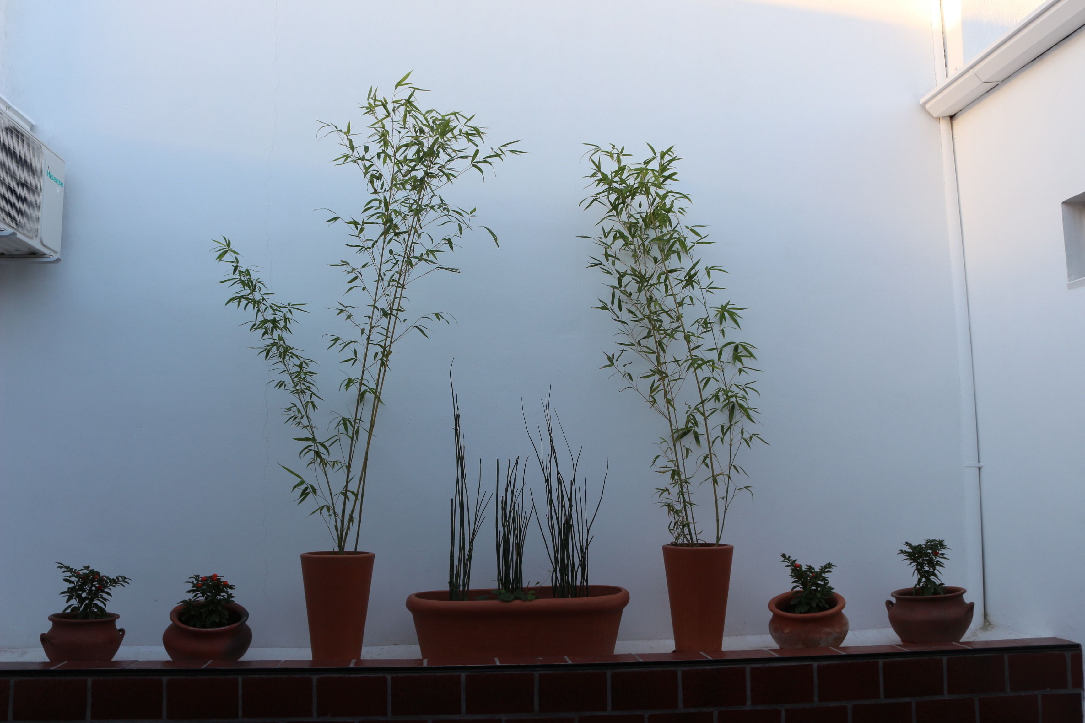 Detalhe da parte interna