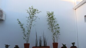 A row of potted plants on a brick ledge against a white wall. - Eclat Suites (Villa Mercedes)