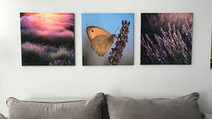A wall with three framed photographs of nature scenes and a grey sofa with cushions. - Villa Tamara (Jelsa)
