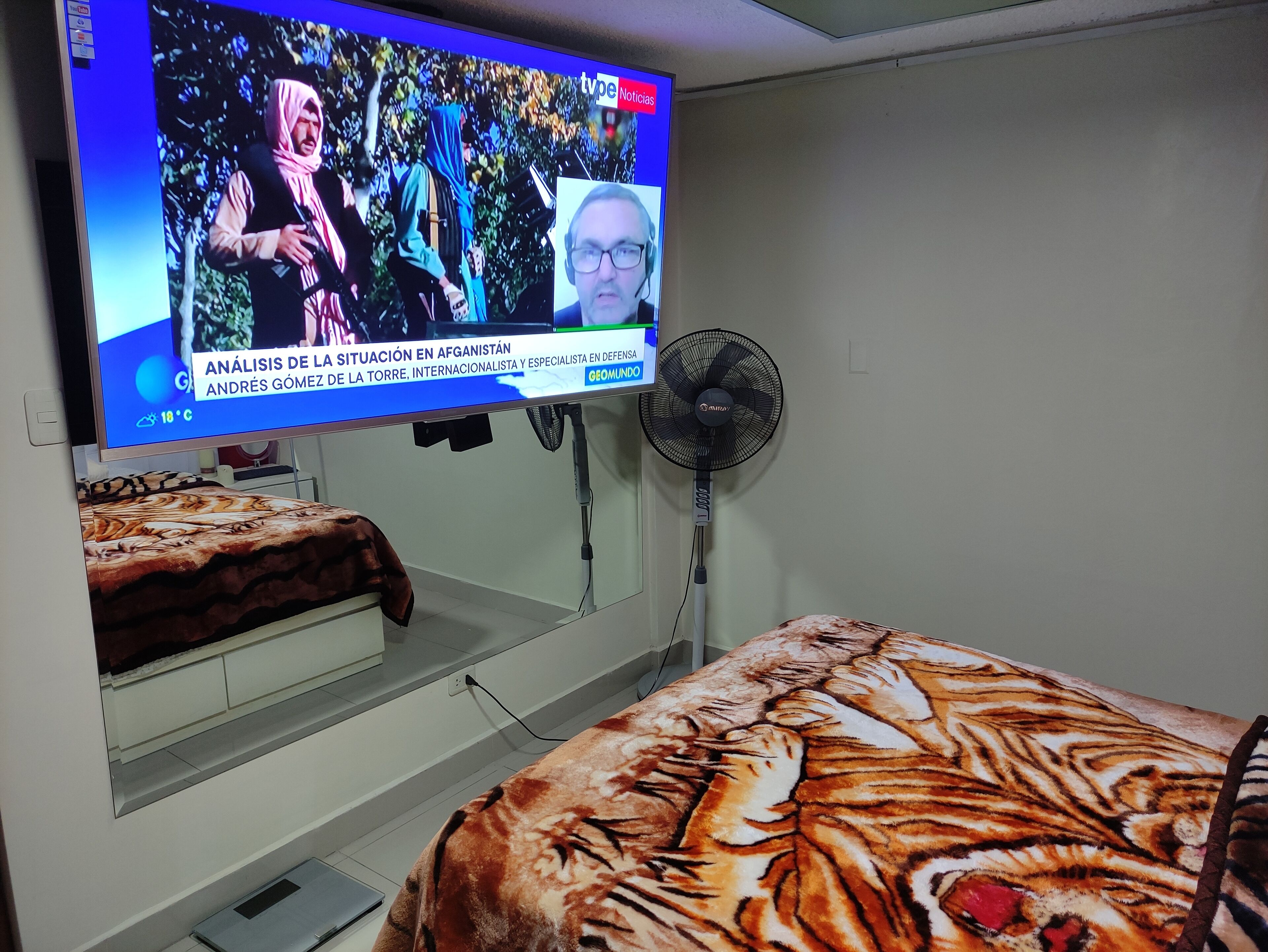 Deluxe Apartment | View from room