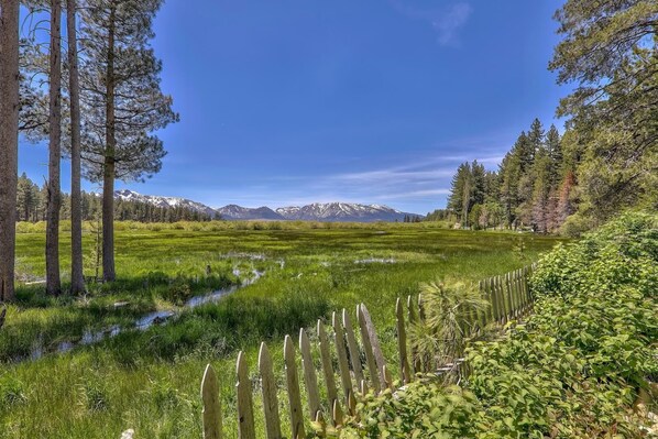 A natural landscape with a grassy field, a small stream, and tall trees. - Tahoe Retreat on the Meadow- Hot Tub, A/C (South Lake Tahoe)