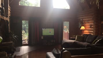 Älytelevisio, takka, kirjoja